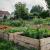 L'entretien des espaces verts à la maison : un plaisir... sans les contraintes !